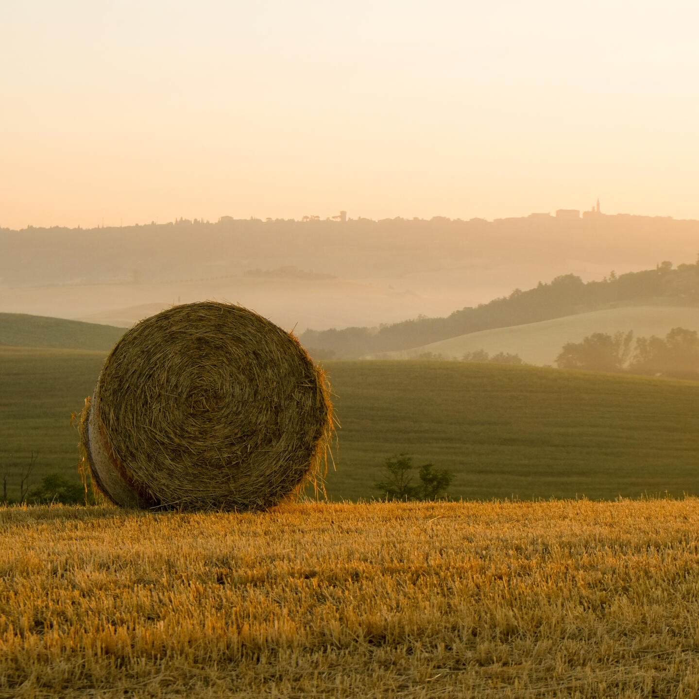 Tuscan Sunrise